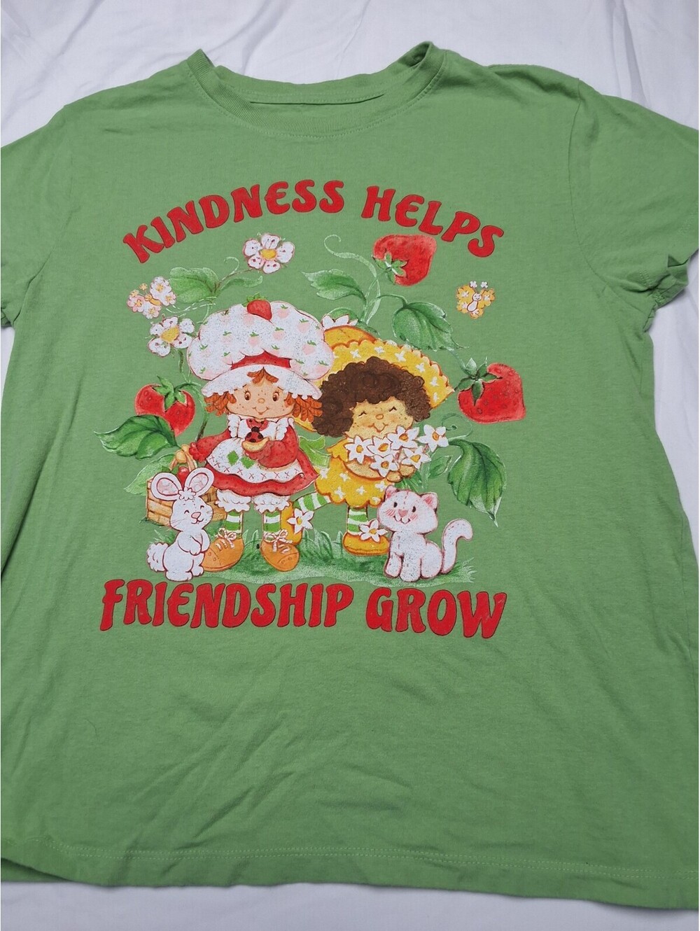 Strawberry Shortcake Green Graphic T-Shirt Kindness Helps Friendship Grow
